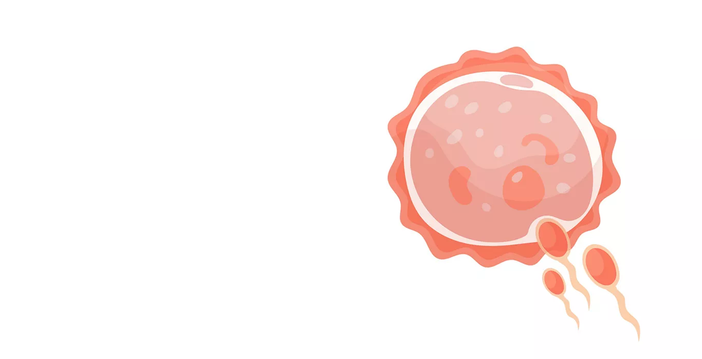 ICSI Procedure Step By Step Explained In Detail Indira IVF